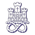 Newcastle Town FC logo
