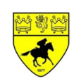 Newmarket Town logo