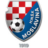 NK Moslavina Kutina logo