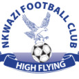 Nkwazi logo