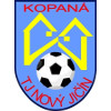 Novy Jicin logo