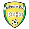NS Roho Vbo logo
