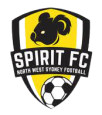 NWS Spirit (W) logo