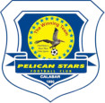 Pelican Stars (w) logo