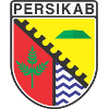 Persikab Bandung logo