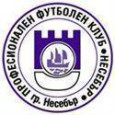 Nesebar logo