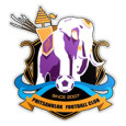 Phitsanulok FC 2015 logo