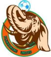 Pluakdaeng United logo