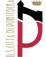 Pontedera Youth logo