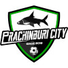 Prachinburi City logo