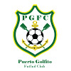 Puerto Golfito logo