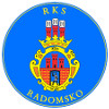 RKS Radomsko logo