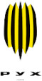 Rukh Vynnyky U19 logo