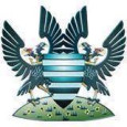 Salisbury City logo