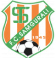 Samgurali Tskh logo