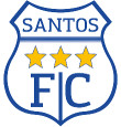 Santos Ica logo