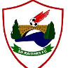 SD Raiders FC logo