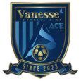 Sejong Vanesse FC logo