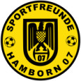 SF Hamborn 07 logo