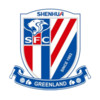 Shanghai Shenhua U18 logo