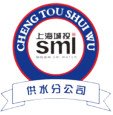 Shanghai Shenshui FC logo