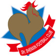 Shanghai Shenxin logo