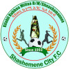 Shashemene Kenema FC logo