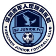 Shenzhen Youth logo