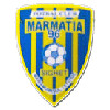 Sighetu Marmatiei logo