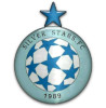 Silver Stars logo