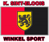 VC Winkel Sport logo