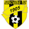 SOROKSAR logo