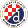 St. Albans Saints U21 logo