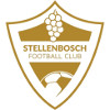 Stellenbosch FC Reserves logo