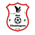 Sua Flamingoes logo