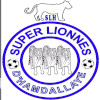 Super Lionnes (W) logo