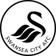 Swansea City U18 logo