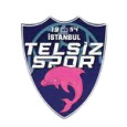 Telsizspor (W) logo