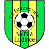 TJ Druzstevnik Vrakun logo