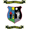 Tranent Juniors logo