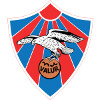 Valur KH Hlidarendi U19 logo