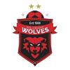 Wollongong Wolves U20 logo