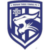 Wuhan Three Towns 05 logo