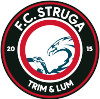 Young Team Struga logo