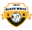 Zigong Team logo