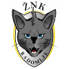 ZNK Radomlje (w) logo
